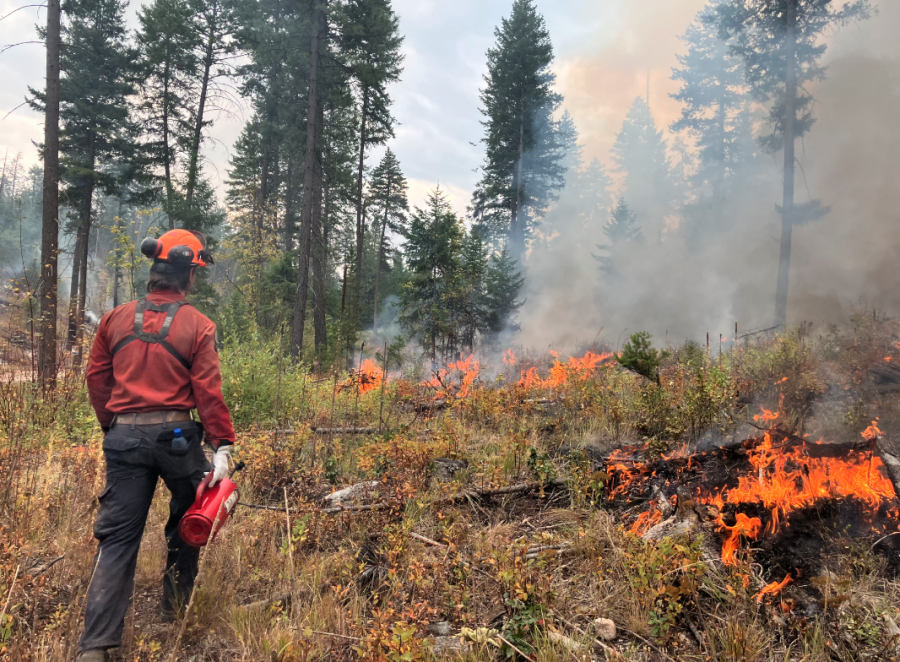 <who> Photo credit: BC Wildfire Service