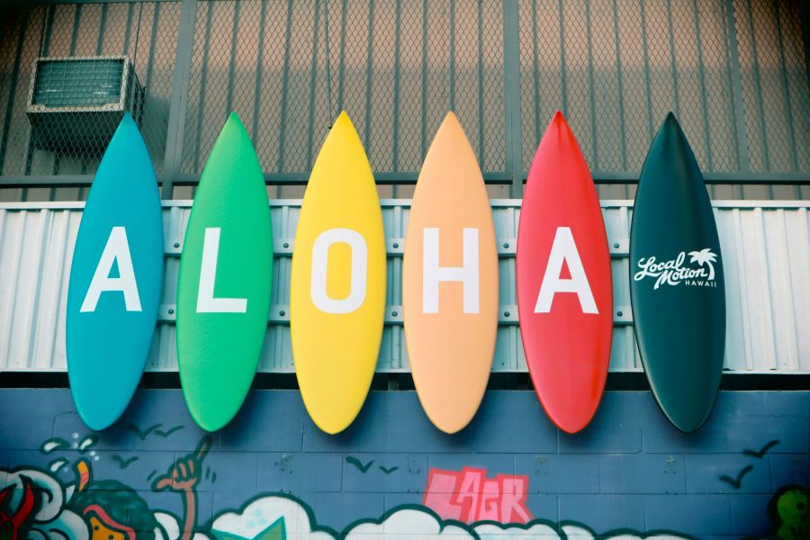 <who>Photo credit: Little Plant on Unsplash</who>Warmer than Hawaii today.