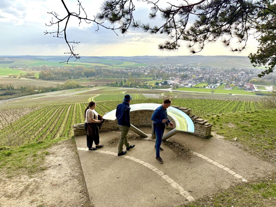 </who>The lookout at Vue Les Clos takes in the village of Chablis and surrounding vineyards.