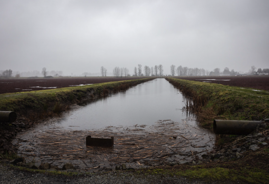 <who> Photo credit: Province of British Columbia </who> A soggy Maple Ridge on Wednesday.