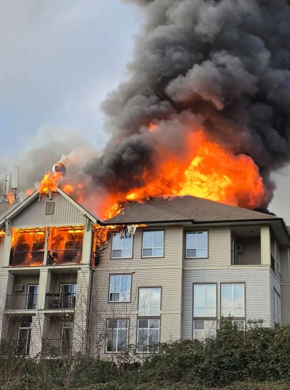 <who>Photo Credit: Hrilmitzh/Reddit