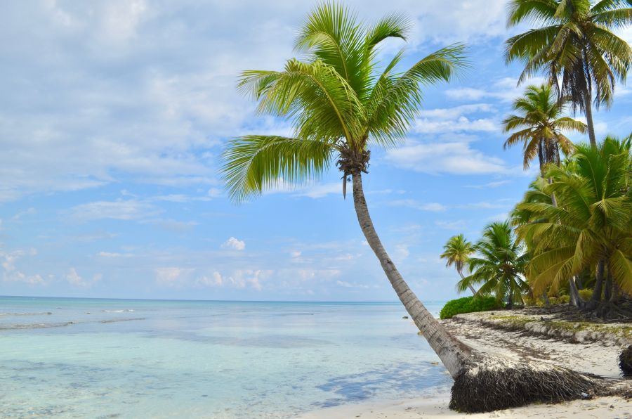 </who>Escape the cold is the main reason Canadians fly to Mexico in the winter.