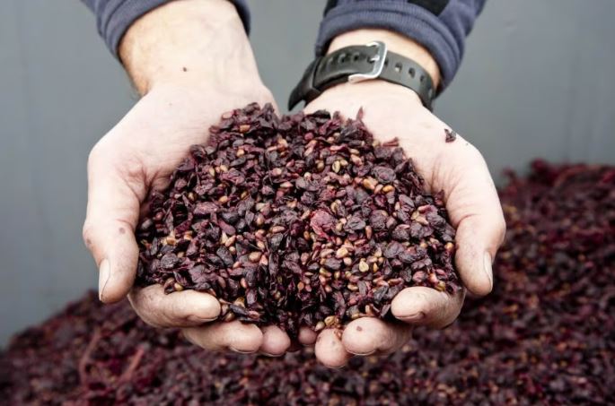 </who>Crush Dynamics turns leftover grape skins and seeds and leftover cranberry skins into a groundbreaking natural food ingredient.