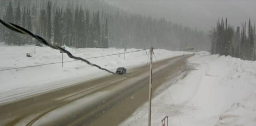 <who>Photo Credit: DriveBC webcam</who>Rogers Pass as of 10 am Friday morning.