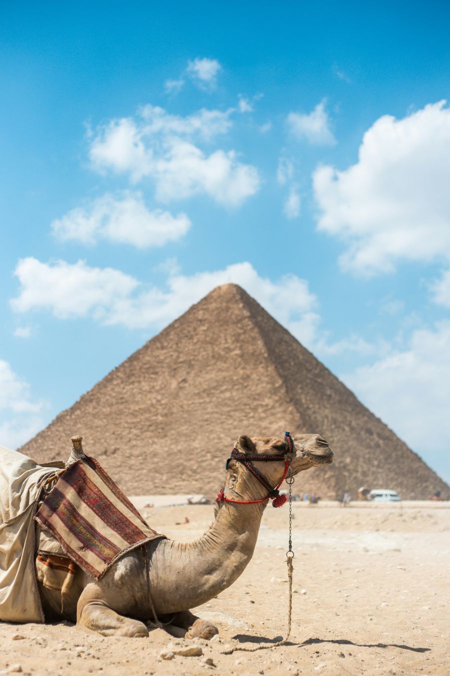 <who>Photo credit: Rosario Janza on Unsplash</who>Warmer than Egypt today.