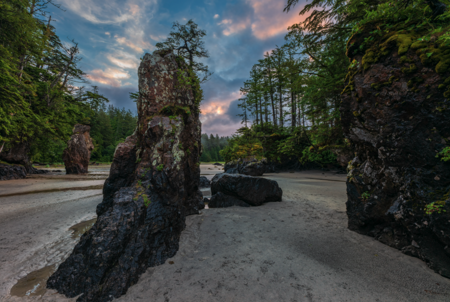 <who> Photo credit: LJI </who> Sea Stacks at San Josef Bay.
