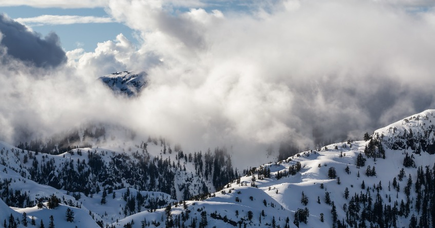 <who> Photo credit: 123RF