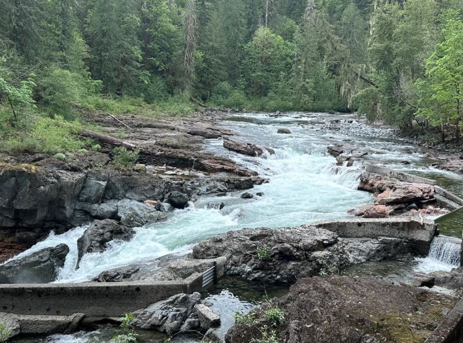<who>Photo Credit: Gabbie Smith/AllTrails</who>Stamp River Provincial Park