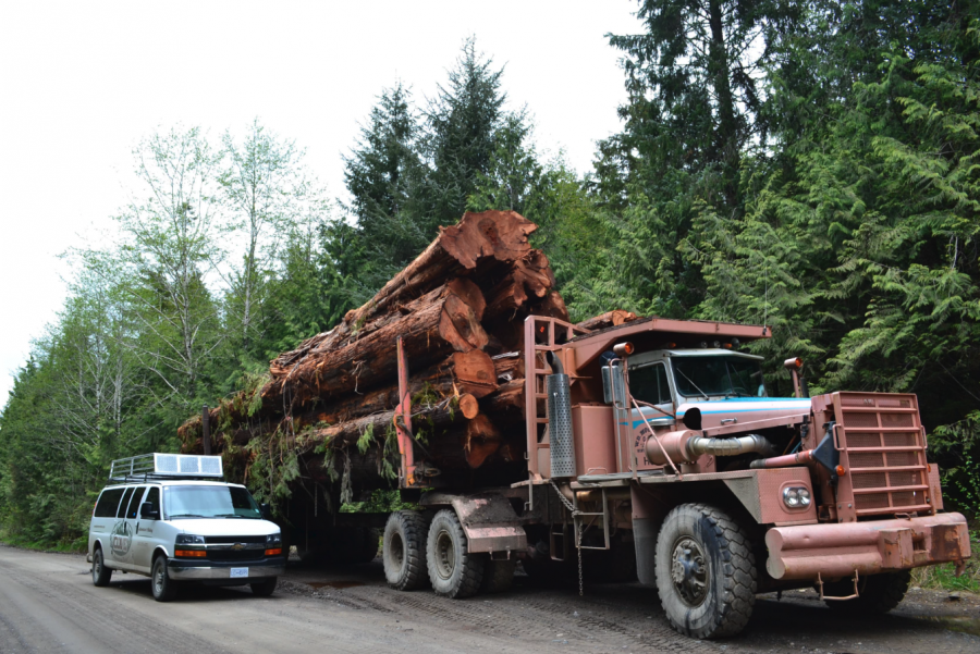 <who> Photo credit: LJI </who> The road to San Josef Bay is an active resource road, where visitors are urged to drive slowly, follow posted signage and stay alert for industrial traffic, including trucks and road-building equipment.