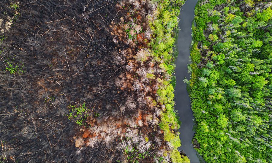 <who>Photo Credit: UBCO</who>UBC Okanagan researchers analyzed more than four decades of satellite data to identify where climate unpredictability poses the greatest threat to Canadian biodiversity.