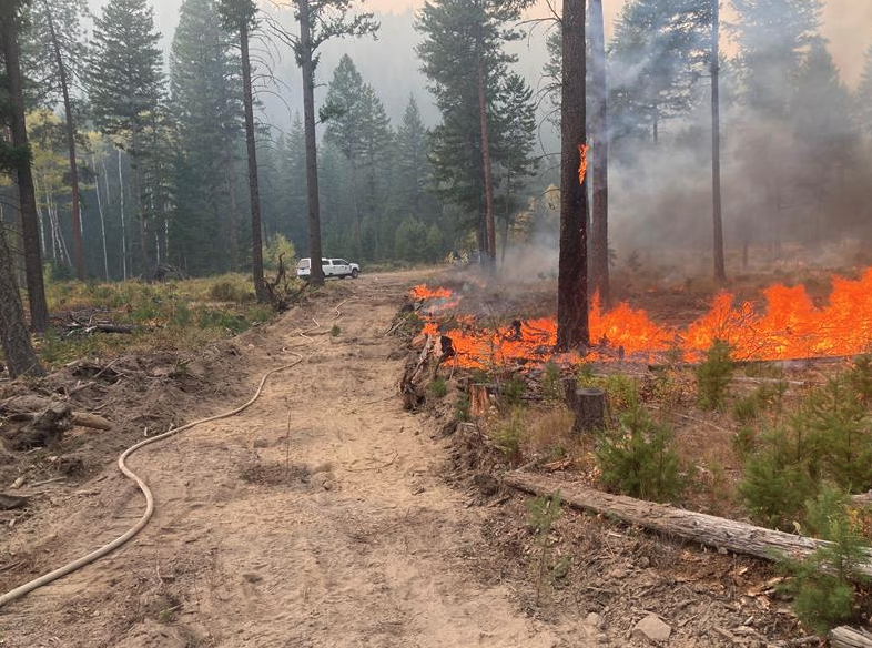 <who> Photo credit: BC Wildfire Service