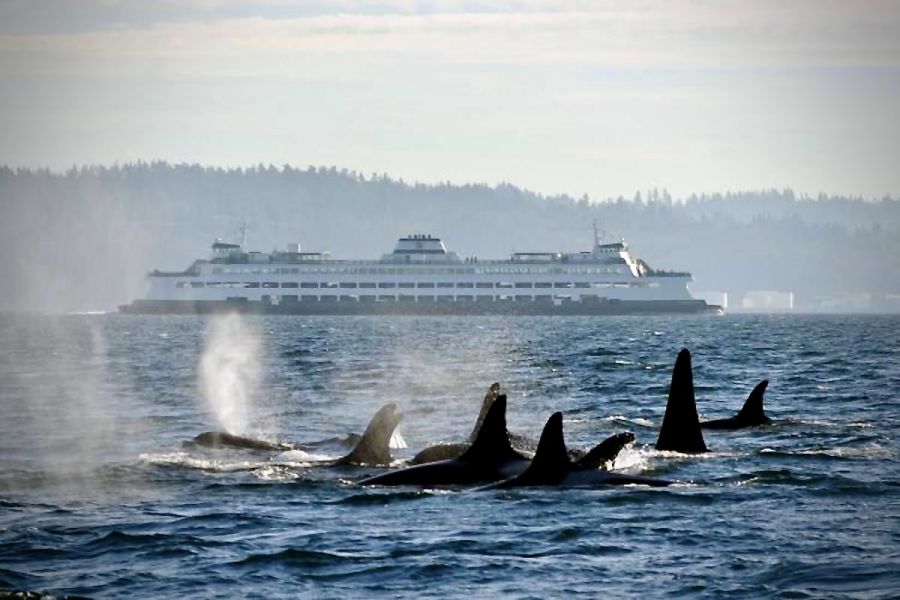 <who>Photo Credit: LJI