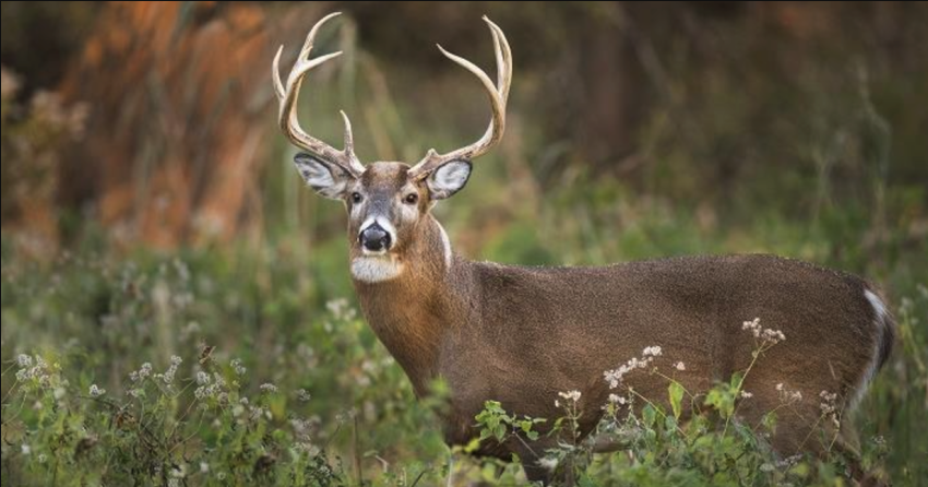 <who> Photo credit: BCCDC