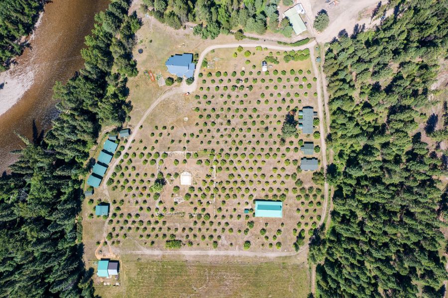 </who> An aerial photo of the property.