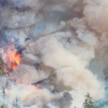 Mount Underwood wildfire forces evacuation of campground and marina near Port Alberni