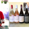 Wine column: Pinot, Pinot, Pinot, Pinot, Pinot and more Pinot