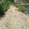 Section of the Shuswap North Okanagan Rail Trail to close next week