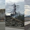 <span style="font-weight:bold;">UPDATE:</span> Evacuees return home, highway fully open as wildfire near Vernon now 'held'