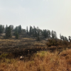 <span style="font-weight:bold;">UPDATE:</span> Noble Canyon wildfire east of Vernon being held
