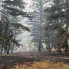 <span style="font-weight:bold;">UPDATE:</span> BCWS says fire east of Vernon is now under control