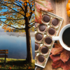 Grab a pumpkin spice latte and sweater, fall arrives in BC today at exactly 11:19 am