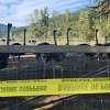 <span style="font-weight:bold;">UPDATE:</span> 2 arrested at BC ostrich farm as tensions rise between supporters and RCMP, CFIA