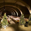 Wine column: So many Christmas trees, so much wine