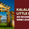 Farming With Intention: The Story Behind Kalala & Little Straw Wineries