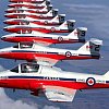 Last chance to see the Snowbirds this summer before extended hiatus
