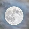 The rare full 'blue moon' can be admired tonight and tomorrow night