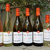Wine column: Delicious and sustainable
