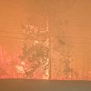 <span style="font-weight:bold;">UPDATE:</span> Police confirm death of woman in Summerland wildfire