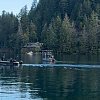 <span style="font-weight:bold;">UPDATE:</span> Search continues for 13-year-old girl believed to have drowned in Cultus Lake