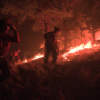 <span style="font-weight:bold;">UPDATE:</span> Over 100 firefighters battling the Bald Range wildfire overnight