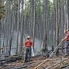 <span style="font-weight:bold;">UPDATE:</span> Bald Range wildfire no longer a 'wildfire of note' as 24-hour operations stop