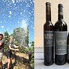 Wine column: Triple crown for this Naramata Bench winery at the National Wine Awards