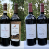 Wine column: Bottles galore to welcome fall