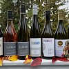 Wine column: These bottles play nice with Thanksgiving turkey
