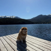Early May heat breaks temperature records in BC