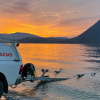 Missing Shuswap houseboater found after spending ‘cold night’ outdoors