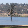 115-year-old Okanagan temperature record broken on Saturday