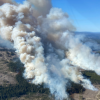 Crews battling 1,600-hectare fire near Quesnel