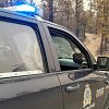 Rescue of lamb from Summerland wildfire provides moment of levity for conservation officers