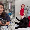 BC SPCA seeking animal lovers to 'lock-in for love' across BC
