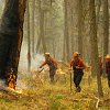 BCWS receives record-breaking number of applications for 2026 wildfire season