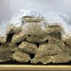 Man caught trying to smuggle 31 kg of cannabis on flight from Vancouver to London
