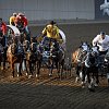 Horse euthanized after injury during chuckwagon race at Calgary Stampede