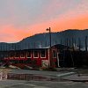 ‘My babies are gone’: Around 40 calves killed in overnight fire at D Dutchmen Dairy