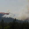<span style="font-weight:bold;">UPDATE:</span> Wildfire near Logan Lake up to 145 hectares