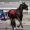 Harness racer dies in ‘multi-horse collision’ at Okanagan racetrack